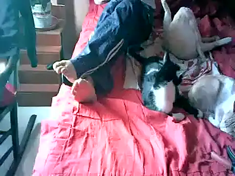 2mgars online show from September 2025 08:48:02 PM