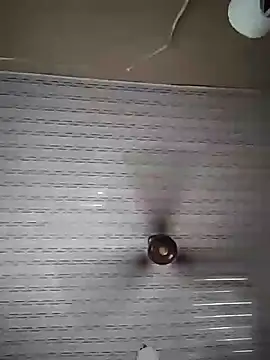 stephbig777 online show from February 2026 09:18:02 AM