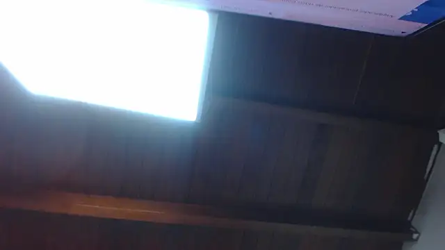 Amara Red online show from March 2026 11:18:02 AM