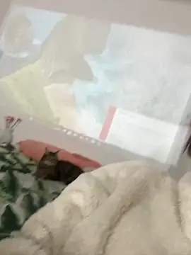 AnnyCherry  online show from March 2026 12:38:01 AM