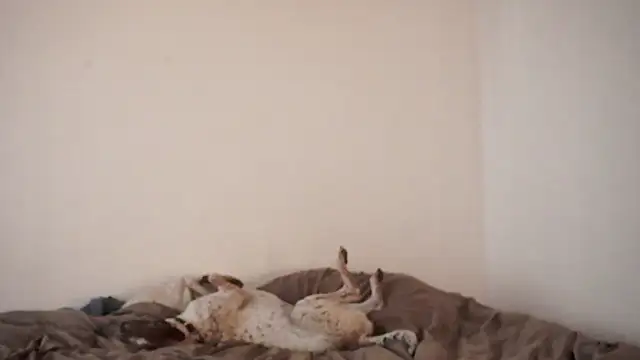 Snapshot of Stephany_talks chatting on March 2025 11:57:02 PM Stephany talks online show from March 2025 11:57:02 PM