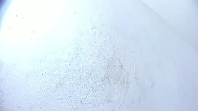 brant garciabbc online show from February 2025 10:01:02 PM