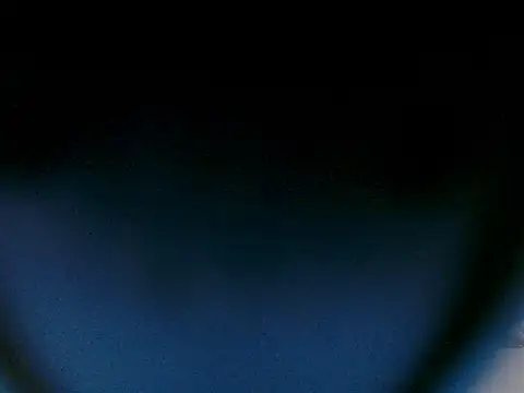 tigerrtiger online show from November 2025 08:31:01 PM