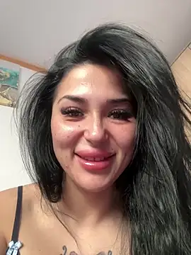 Rocky ktm31 online show from January 2025 09:44:02 AM