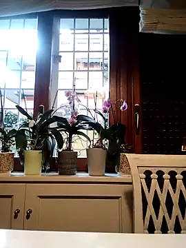 Frabox65 online show from March 2026 06:00:02 AM