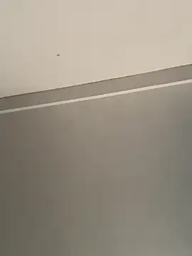 calleaaaa online show from October 2025 09:19:02 AM