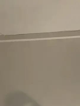 calleaaaa online show from October 2025 11:34:01 AM