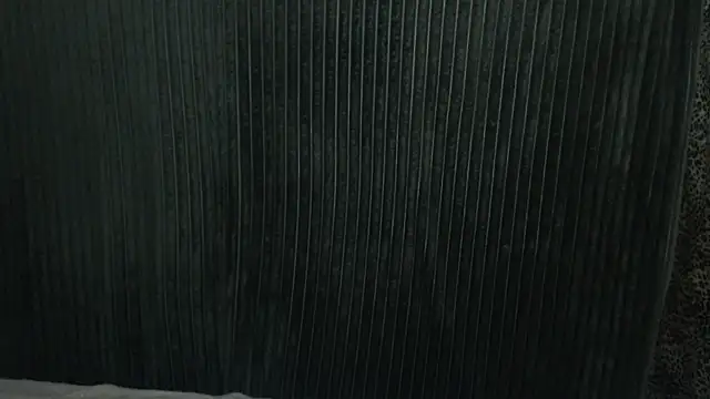 1BECHA1 online show from December 2025 07:41:01 AM