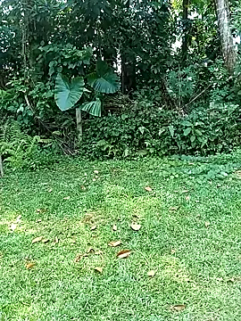 ruki anglelk online show from February 2025 06:01:01 AM