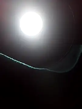 dangerman94 online show from March 2026 06:15:02 AM