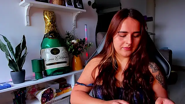 evy orange1 online show from March 2026 02:40:01 PM