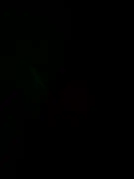 josle24 online show from December 2024 03:35:01 PM