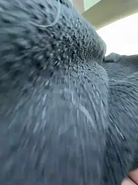 Giuliana baby online show from March 2026 09:36:02 AM