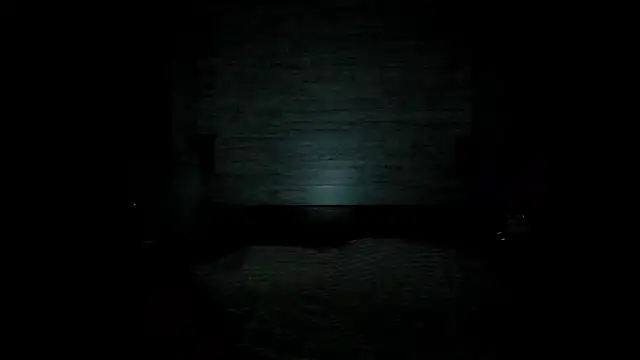 Chris Brunnet online show from February 2026 02:13:02 PM