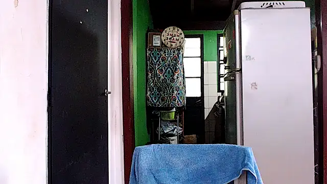 SusiDream online show from March 2025 08:18:02 PM