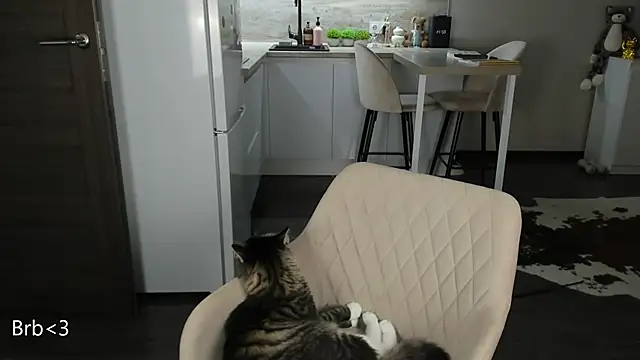 nilliluv online show from March 2026 11:16:02 PM