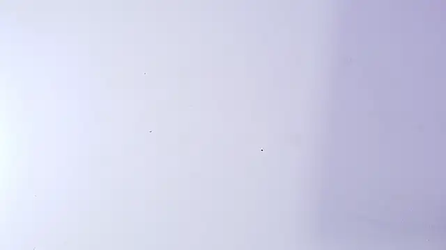 nicol f online show from March 2026 03:14:01 AM