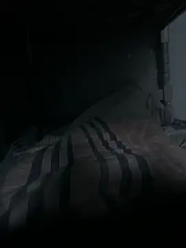 Snapshot of Midolib chatting on February 2025 10:09:02 PM Midolib online show from February 2025 10:09:02 PM