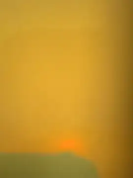 joeyriddle online show from March 2026 07:31:02 AM