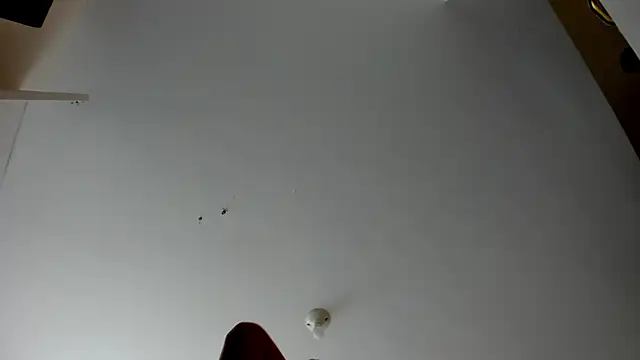 Snapshot of evely_coelloo chatting on November 2025 04:10:01 PM evely coelloo online show from November 2025 04:10:01 PM