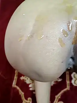 Snapshot of GF_nd_BF_ chatting on March 2025 03:38:02 PM GF nd BF  online show from March 2025 03:38:02 PM