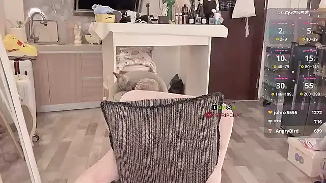 -XunMengLong- online show from December 2024 11:01:01 PM