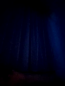 intx800 online show from March 2026 08:03:02 PM