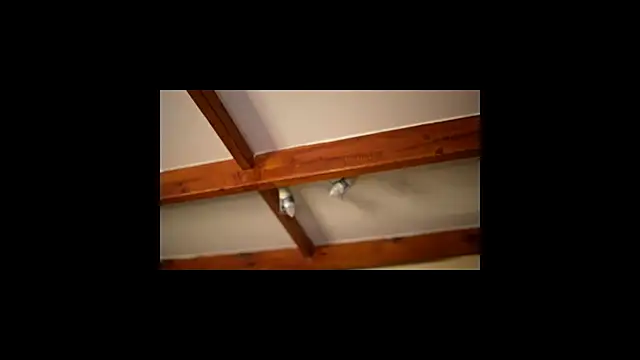 Bellis Perenis online show from February 2026 09:31:02 AM