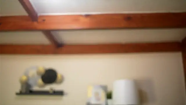 Bellis Perenis online show from February 2026 09:06:01 AM