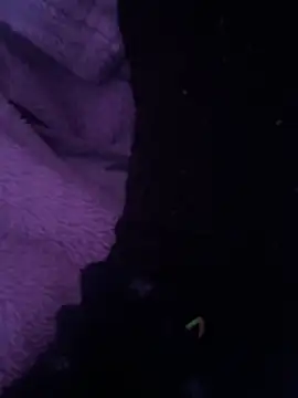 Snapshot of ahmedtop308 chatting on March 2026 03:52:01 PM ahmedtop308 online show from March 2026 03:52:01 PM