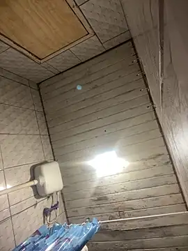 Vih222 online show from March 2026 03:04:01 AM