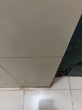 nangakings online show from December 2025 03:17:01 PM