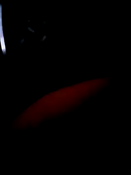 pascalino100 online show from April 2026 12:01:01 PM