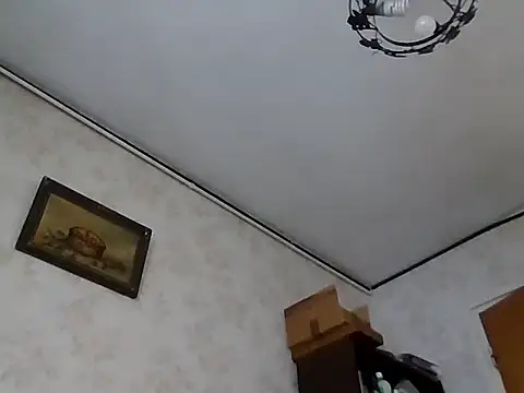 mariusica1xh online show from November 2025 11:48:01 AM