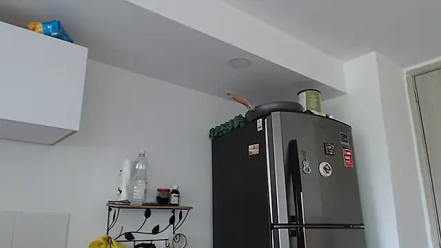 thomas gun online show from February 2026 03:28:01 PM