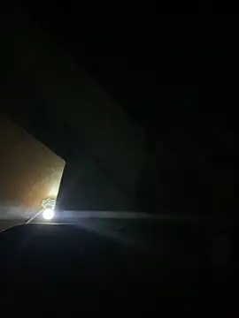 YawlingJingoist online show from March 2026 12:51:01 AM