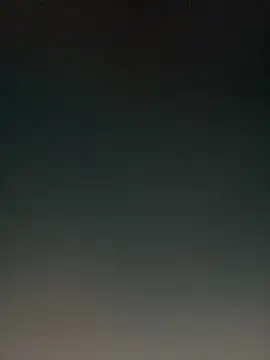 skatebored online show from February 2026 11:59:01 PM