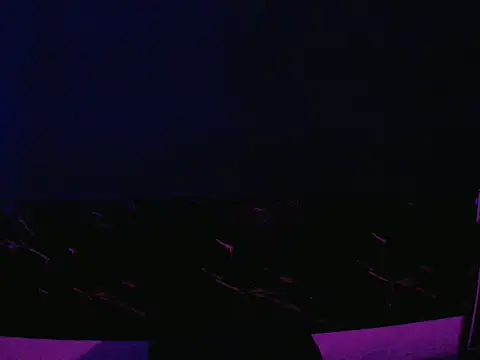 thesummerboy online show from January 2025 11:56:02 AM