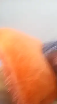 NICJOHNS online show from February 2025 08:02:02 AM