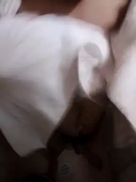 Snapshot of Professor_Leo_ chatting on February 2026 02:54:02 AM Professor Leo online show from February 2026 02:54:02 AM