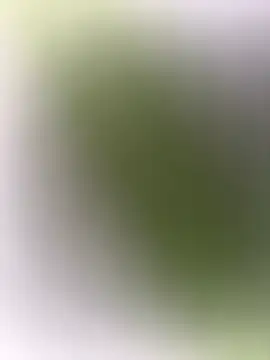 mrwright878787 online show from December 2024 07:14:01 PM