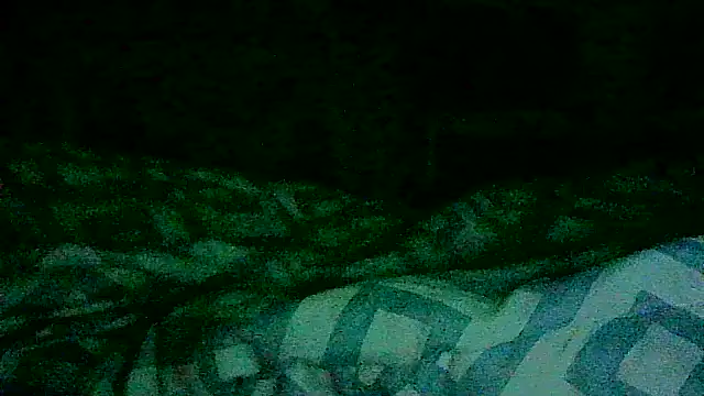 Snapshot of DI4MOND_FIR3 chatting on November 2025 11:42:02 AM DI4MOND FIR3 online show from November 2025 11:42:02 AM