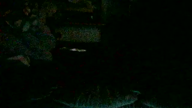 Snapshot of DI4MOND_FIR3 chatting on October 2025 02:47:02 PM DI4MOND FIR3 online show from October 2025 02:47:02 PM