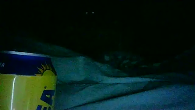 Snapshot of DI4MOND_FIR3 chatting on November 2025 12:33:01 AM DI4MOND FIR3 online show from November 2025 12:33:01 AM