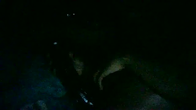 Snapshot of DI4MOND_FIR3 chatting on November 2025 09:58:02 AM DI4MOND FIR3 online show from November 2025 09:58:02 AM