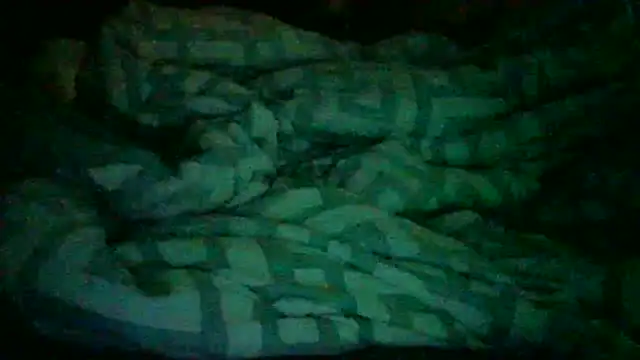 Snapshot of DI4MOND_FIR3 chatting on July 2026 11:17:01 AM DI4MOND FIR3 online show from July 2026 11:17:01 AM