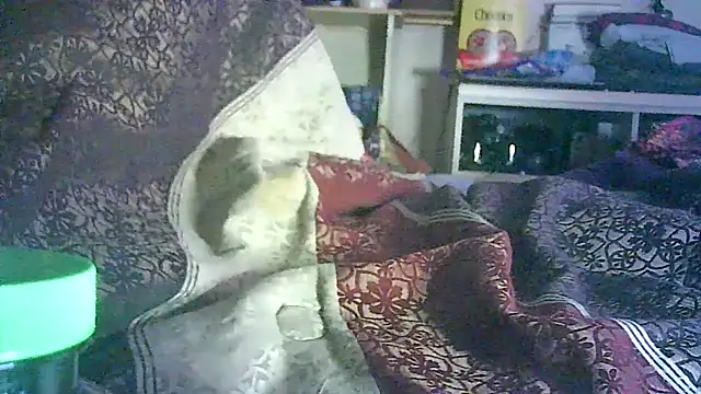 Snapshot of DI4MOND_FIR3 chatting on June 2026 02:33:01 PM DI4MOND FIR3 online show from June 2026 02:33:01 PM