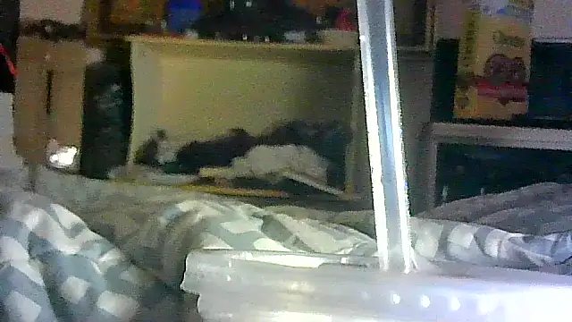 DI4MOND FIR3 online show from April 2026 02:53:01 PM