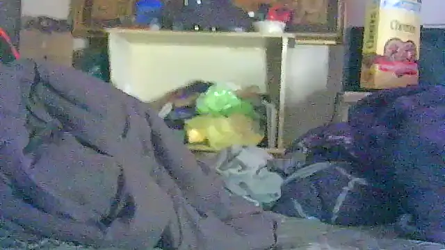 DI4MOND FIR3 online show from April 2026 06:25:02 PM