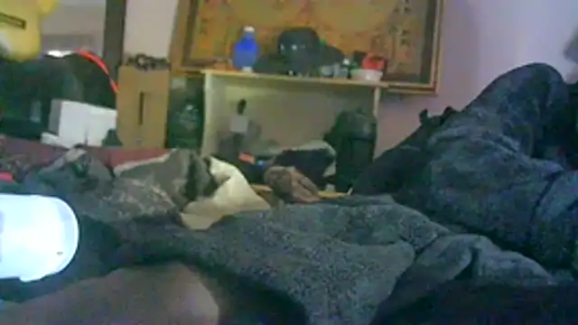 DI4MOND FIR3 online show from February 2026 08:17:02 PM